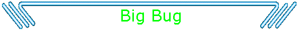 Big Bug