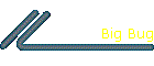 Big Bug